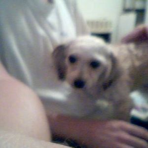 Meet your Posher, Jeff